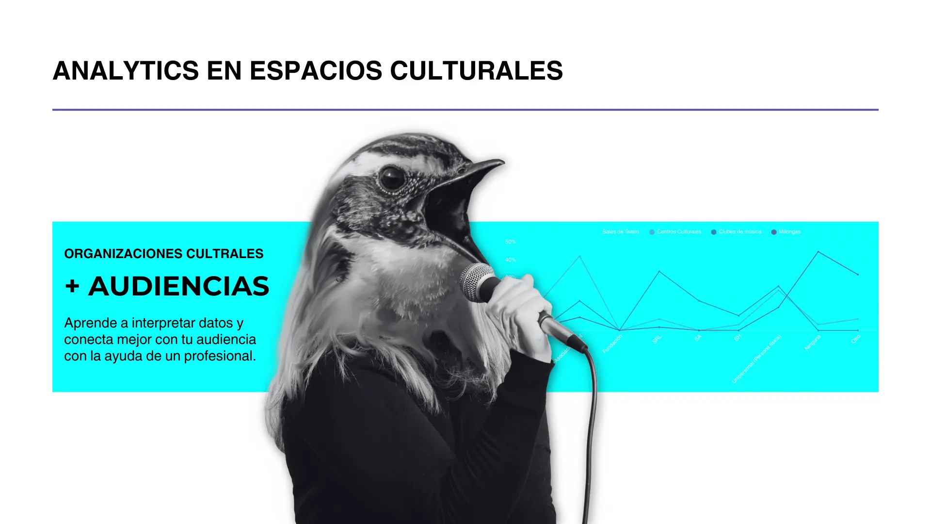 Cómo usar Analytics en Espacios Culturales y Pymes: descubre el poder de conocer a tu audiencia